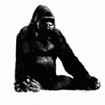 Meditating gorilla logo